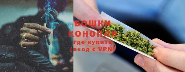 Альфа ПВП Сосновый Бор