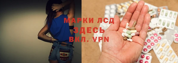 spice Бородино