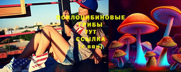 spice Бородино